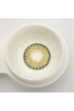 Natural Colour Eye Sight and Plane Lenses - Image 11