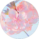 sidrah tahir profile picture