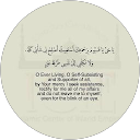 Dr Syeda Sadia Taveel profile picture
