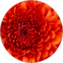 Altaf Khan profile picture